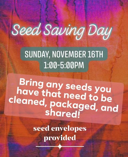 Seed Saving Day