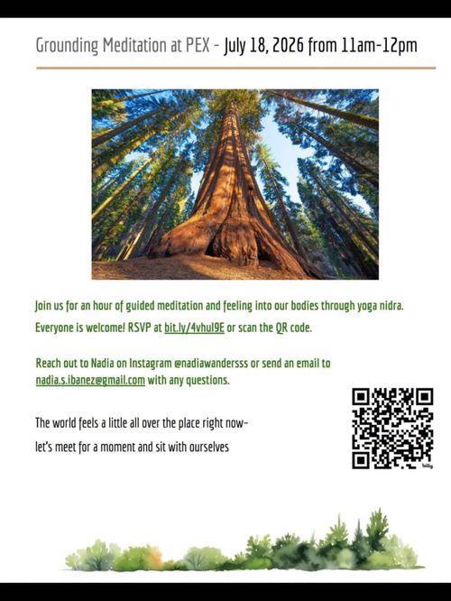 Guided Meditation