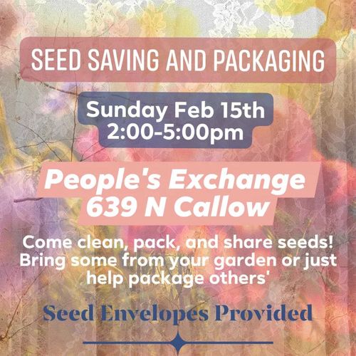Seed Saving & Packing